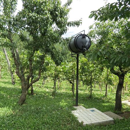 Vulcano Vendeghaz Kisapati Ngoại thất bức ảnh