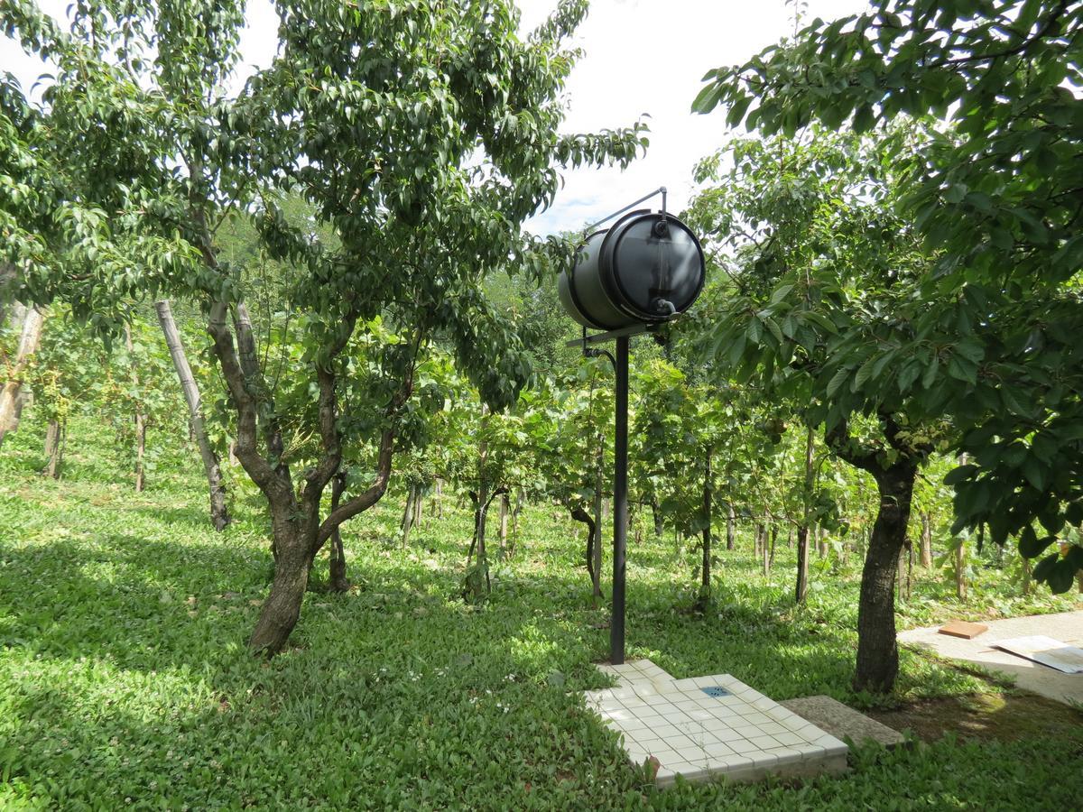 Vulcano Vendeghaz Kisapati Ngoại thất bức ảnh